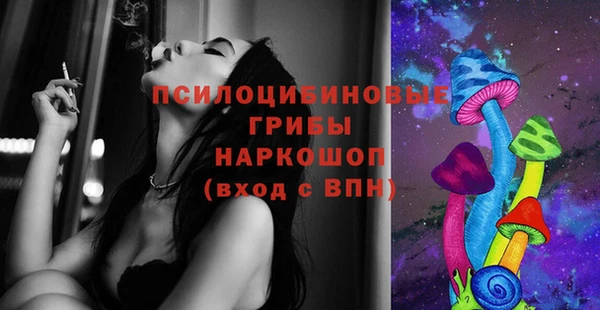 МДПВ Алексеевка