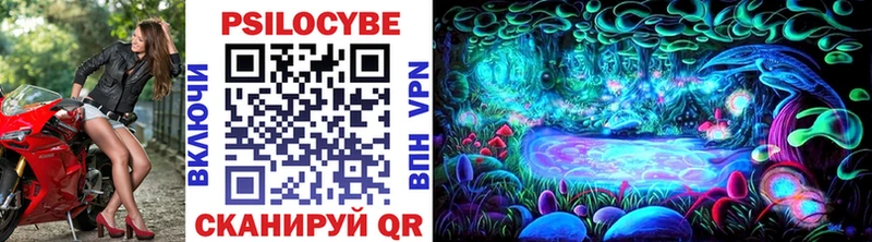 Галлюциногенные грибы мицелий  купить наркотик  Тулун 